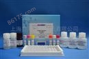 小鼠胰岛细胞抗体（ICA）ELISA试剂盒