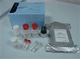 豚鼠血清总补体（CH50）ELISA试剂盒