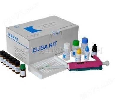 猪血管生成素1（ANG-1）ELISA试剂盒