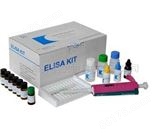 犬白介素18（IL-18）ELISA试剂盒