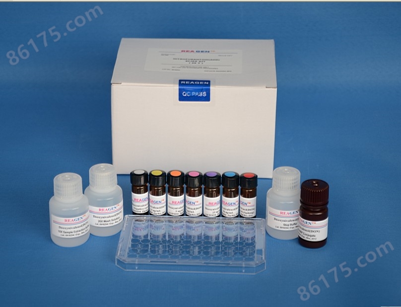 猪主要组织相容性复合体Ⅱ类ELISA试剂盒