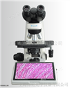 TL5000一体化液晶数码显微镜