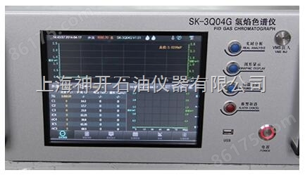 SK-3Q04G氢焰​色谱仪
