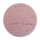 大肠杆菌O157：H7显色培养基