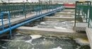工业废水一站式解决 纯水设备 认准环扬